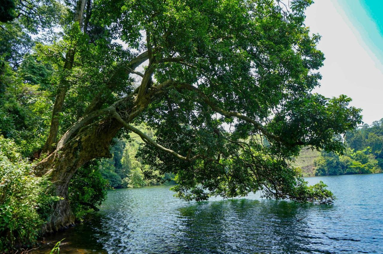Lake Nyamirima Cottages Fort Portal Ngoại thất bức ảnh